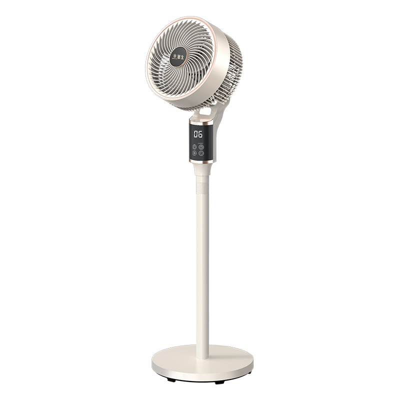 DDZ602