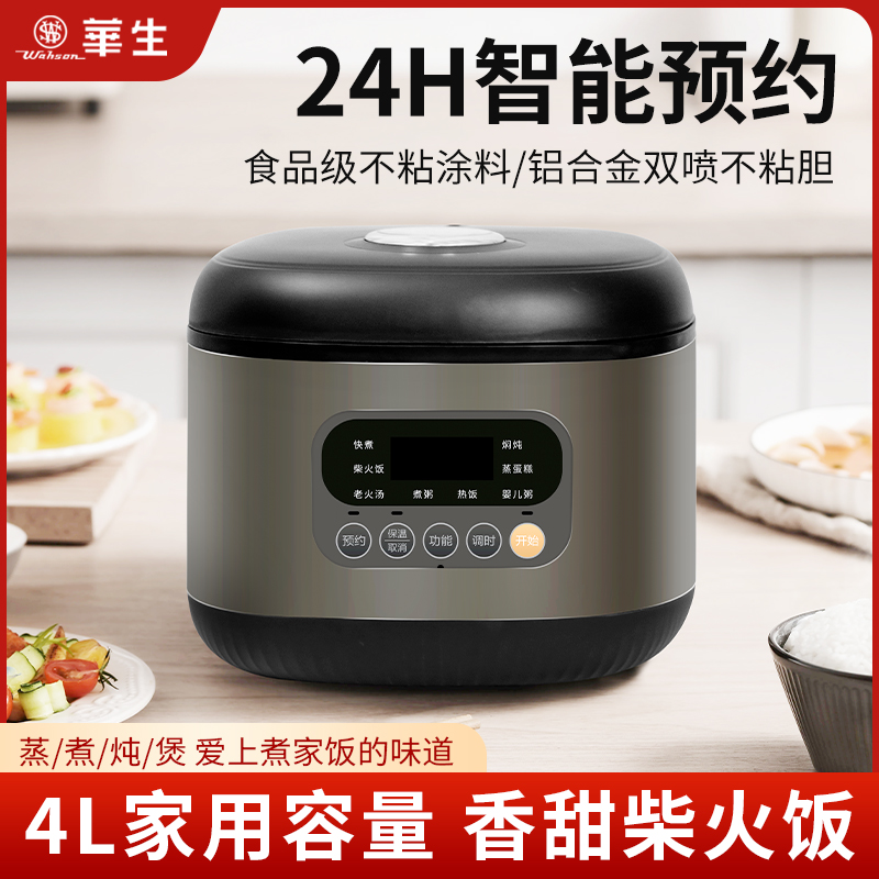 DDZ602